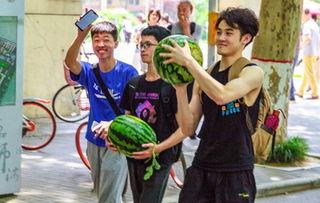 吃瓜学校3,揭秘校园风云，笑料百出