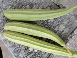 吃瓜群众发玫瑰,揭秘背后甜蜜故事