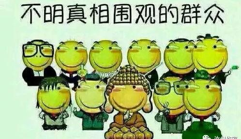 吃瓜群众赞美语,吃瓜群众倾情点赞的美食盛宴