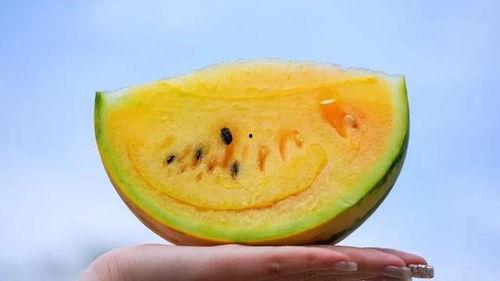 云南学校吃瓜资源,探寻校园里的美食宝藏