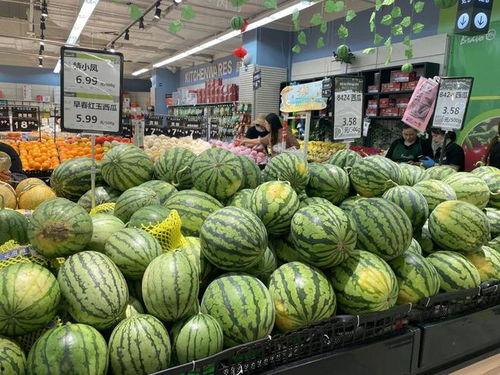 无锡吃野瓜视频