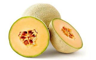 九南 吃瓜,揭秘娱乐圈的“吃瓜”风云