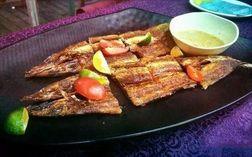 星灿大海吃瓜,一场吃瓜盛宴的奇幻之旅