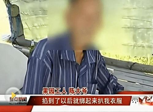 真假少爷打架我吃瓜,吃瓜群众围观现场