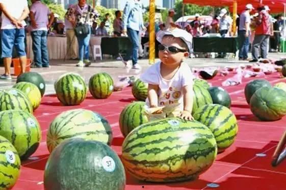 河南校园吃瓜爆料视频,揭秘校园内幕，真相令人震惊！