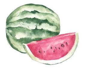 池上碧莲为谁红 吃瓜