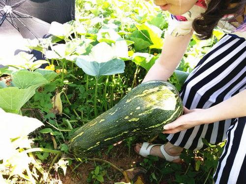 吃瓜四职中,揭秘娱乐圈幕后那些事儿