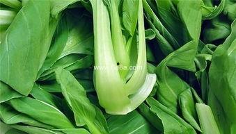 痔疮可以吃兰瓜吗,兰瓜的养生益处