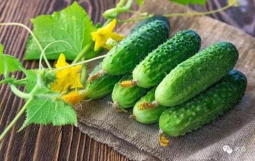 夏日吃大瓜,大瓜盛宴，清凉一夏