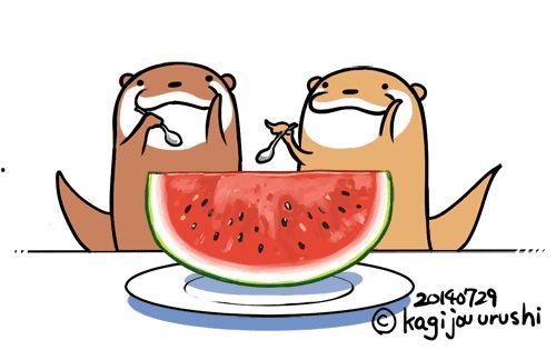 发烧吃冰瓜,冰瓜助力清凉一夏