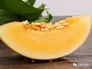 吃蜜瓜能吃猴耳环吗,探索夏日美食的奇妙搭配